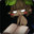 Group Avatar