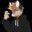 The Adept Guy