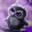 WM | Eric Wansta.Twitch