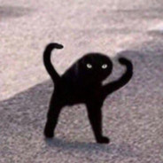 s0ft