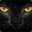 Group Avatar