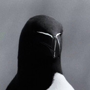Toface