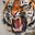 Tigress