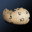 Group Avatar