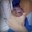 Group Avatar