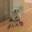 miphy-