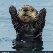 Otter