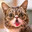 radik-