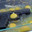 Group Avatar