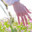 Group Avatar