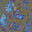 Group Avatar