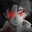 Group Avatar
