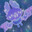 ʚqpᗢdbɞ
