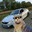 \9zlg.ssg.wr